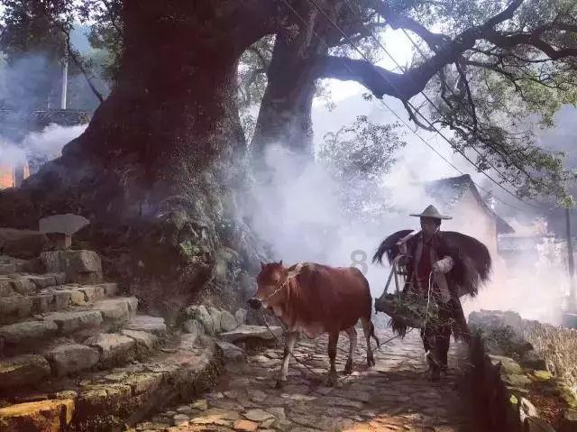 【优联云购】玩心不停,热爱不止