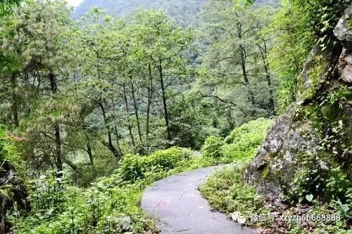孤岛危机2