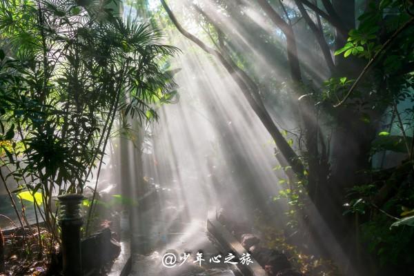 唐高宗李治绝非软弱的“耙耳朵”,而是开创永徽之治的守成明君