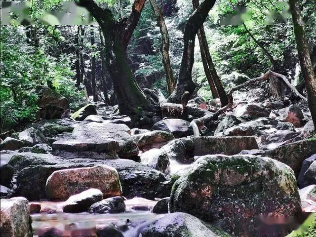张家口424葡萄酒品牌包装设计