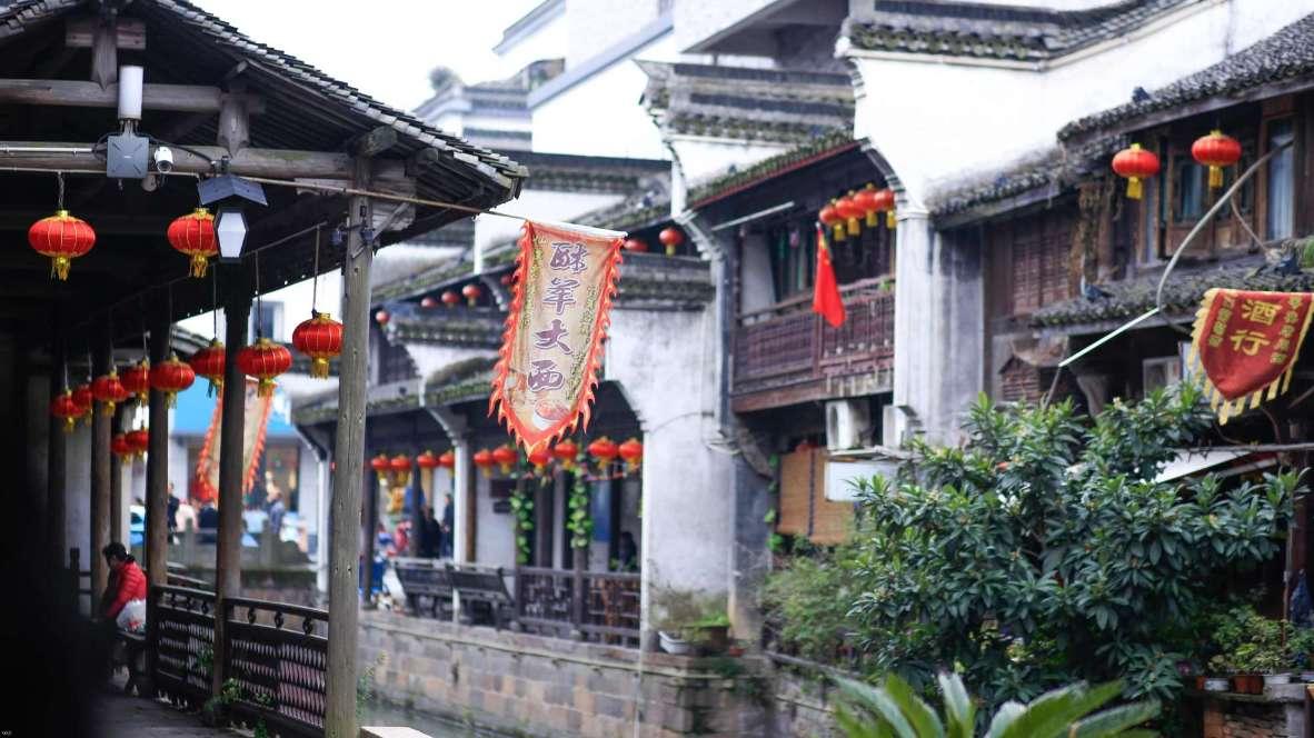 动物家园守卫战