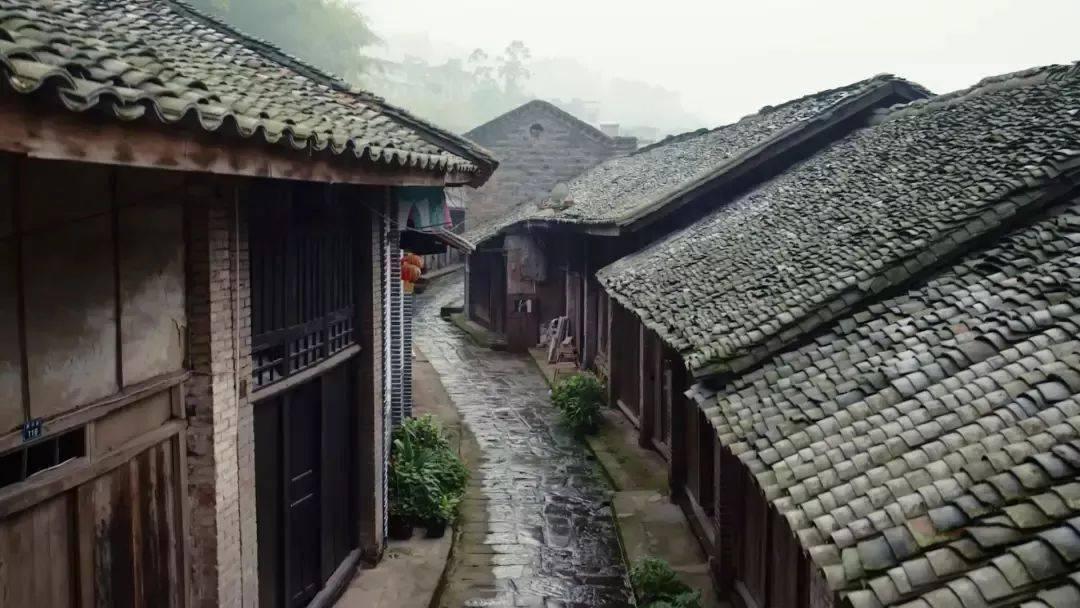 小熊救援