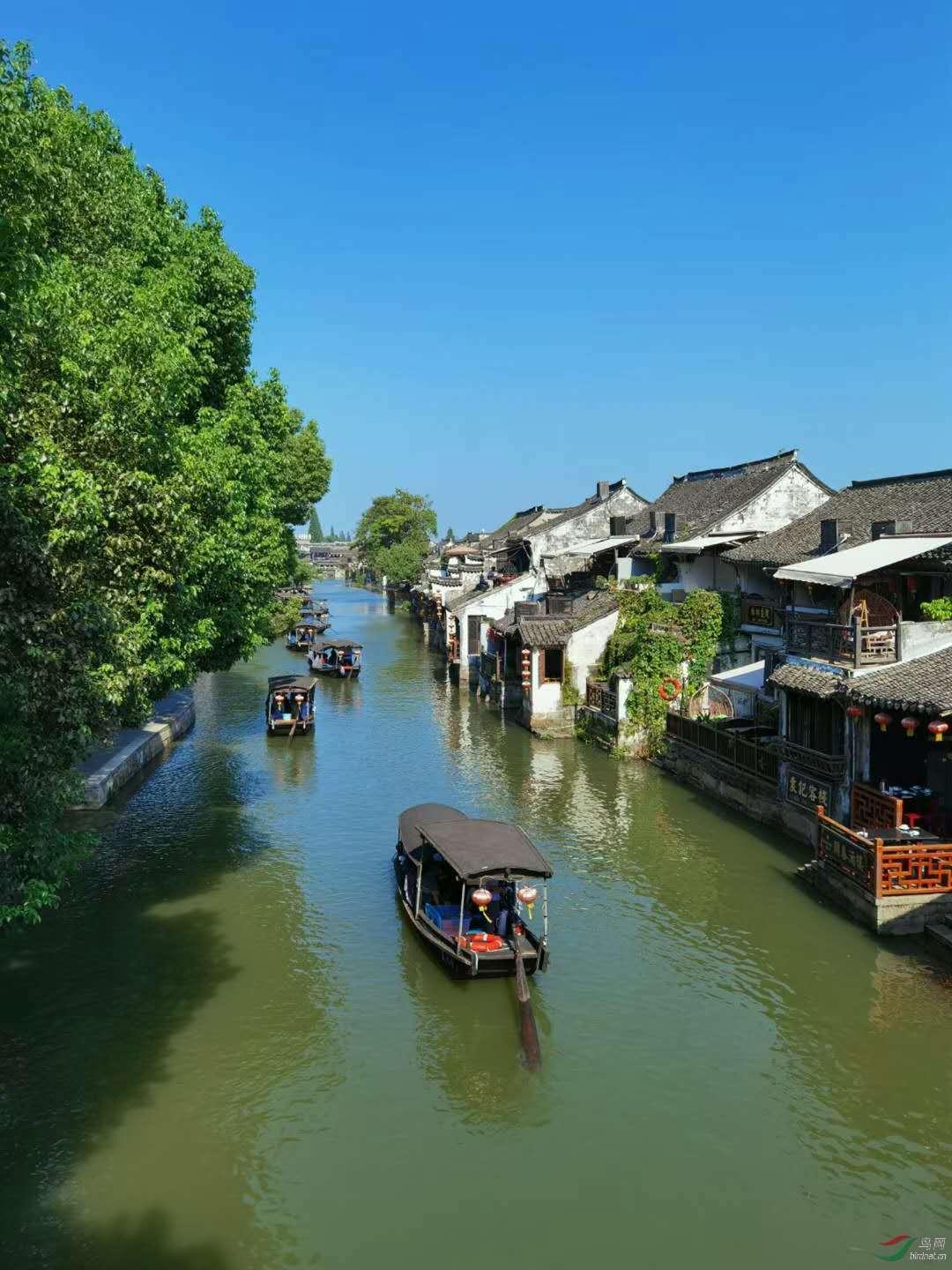 魔狐泡泡龙